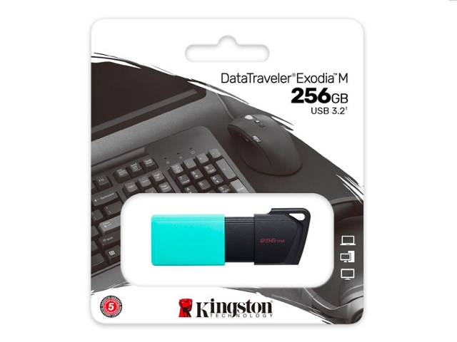 Kingston DataTraveler Exodia M - Memoria USB 256 GB USB 3.2 Gen 1